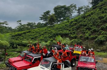 Study Tour